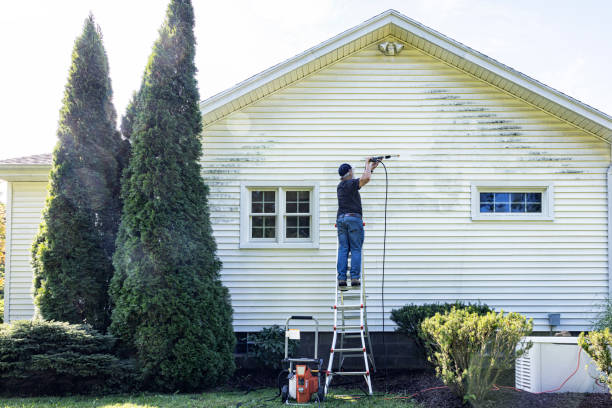 Best Local Pressure Washing Services  in New Baden, IL